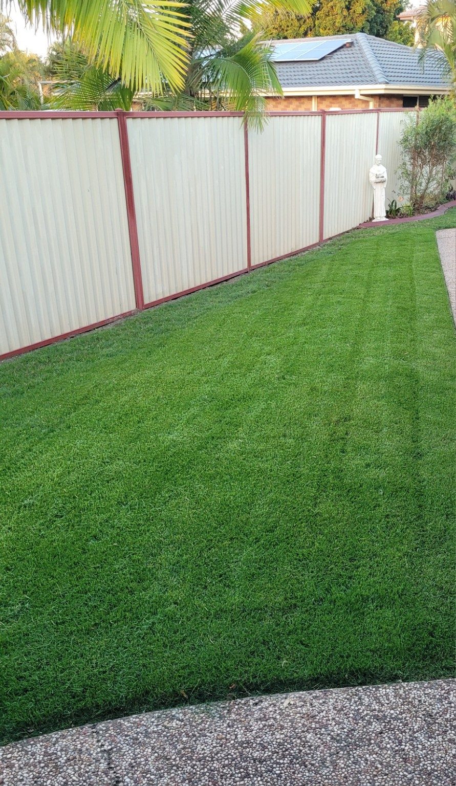 Freshly mowed green lawn beside a neat fence line
