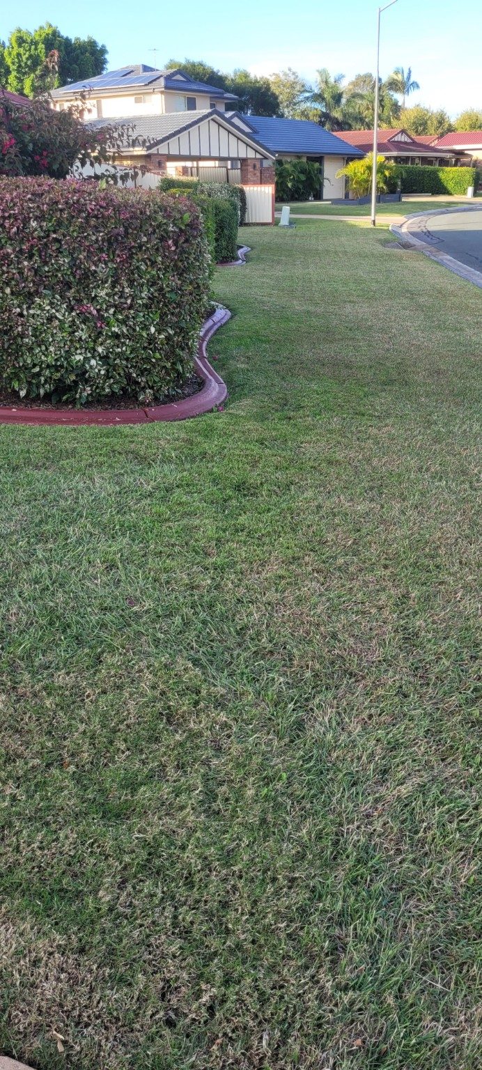 Maintained verge and trimmed hedge beside a street